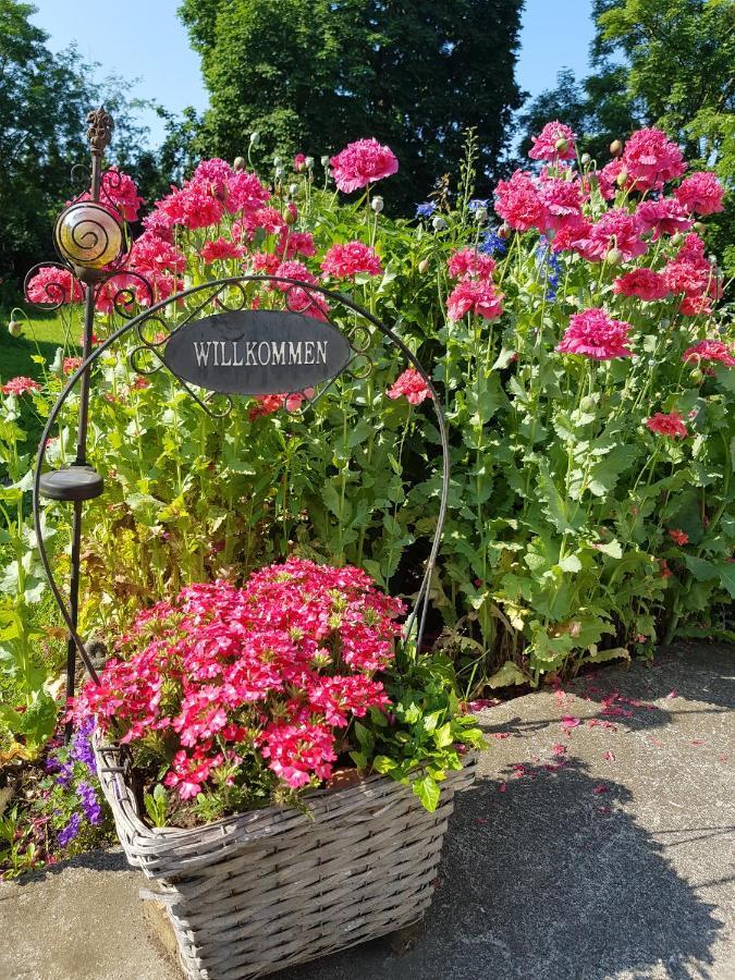 Villa Wiese Katzow Bagian luar foto